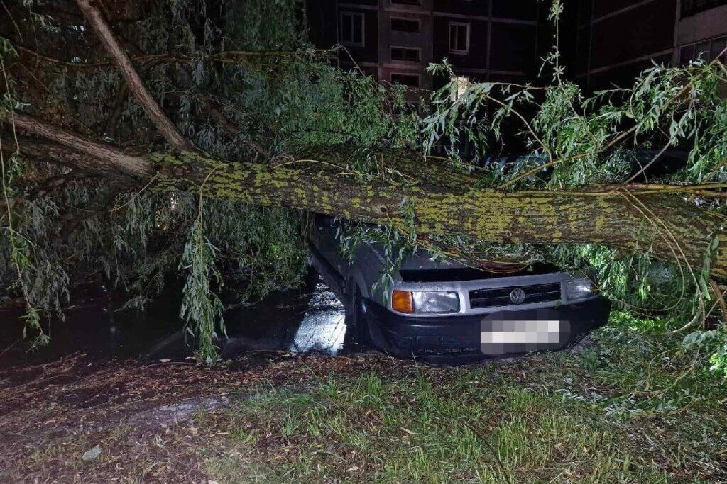 Thunderstorm aftermath: 176 toppled trees, properties damaged