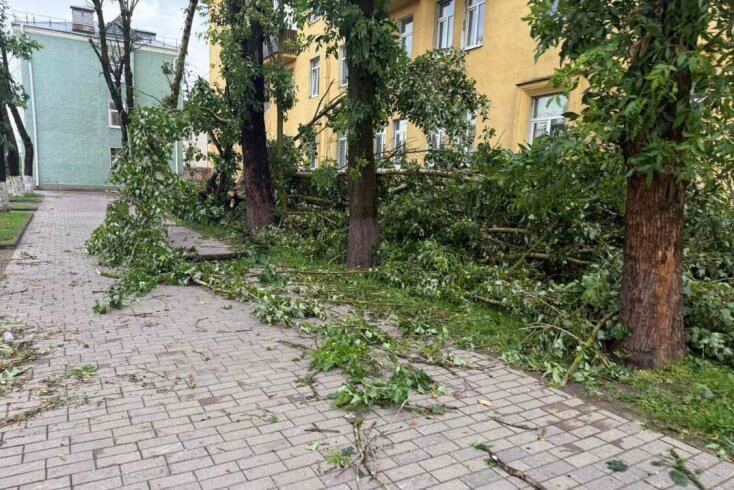 В Могилеве в результате падения деревьев погибла 33-летняя женщина, госпитализировано четыре человека