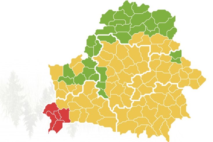 У пяці раёнах на паўднёвым захадзе Брэсцкай вобласці ўведзена забарона на наведванне лясоў