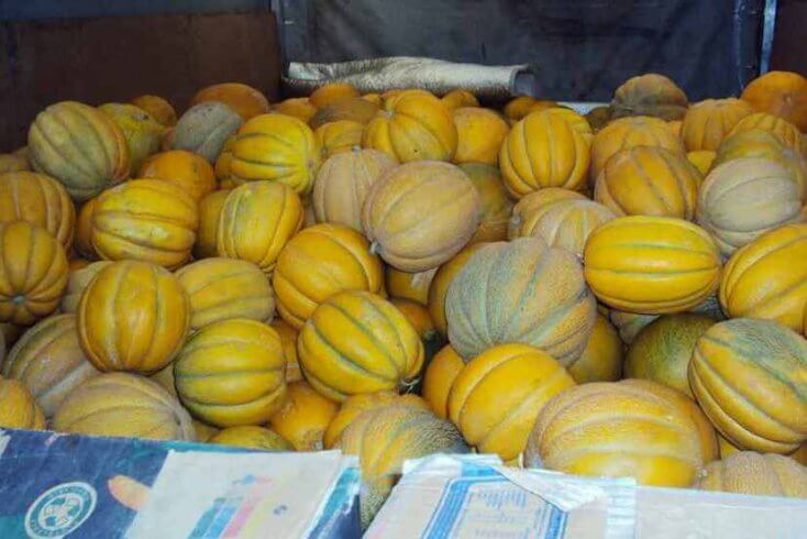 Russia blocks melon shipment to Belarus