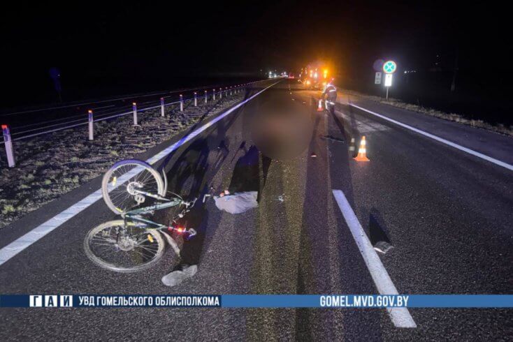 Уначы ў Жлобінскім раёне пад коламі МАЗа загінуў 51-гадовы раварыст