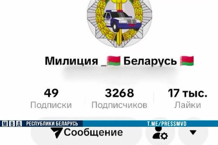Житель Гомеля выдавал за аккаунт милиции свою страницу в "ТикТоке", надеясь на быструю монетизацию