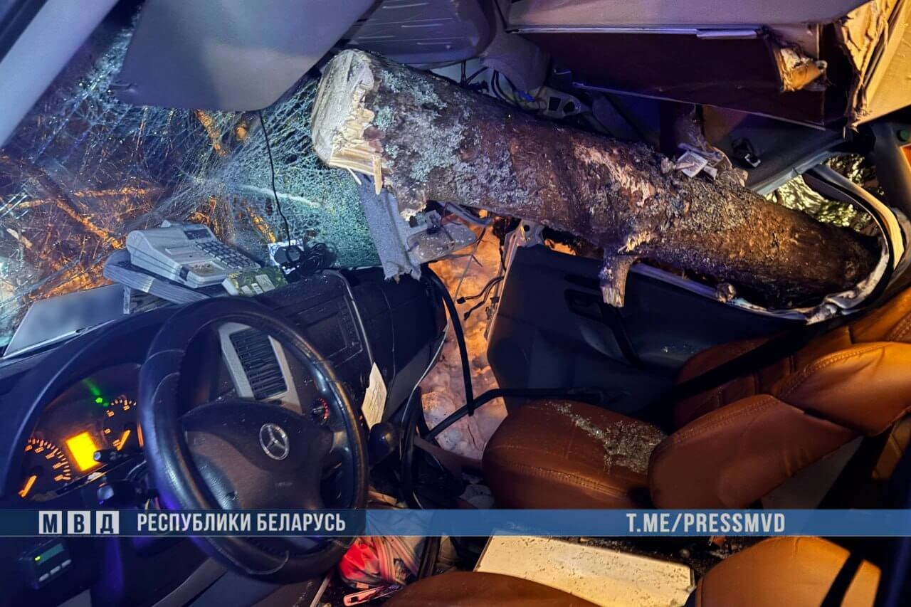 В Вилейском районе маршрутка наехала на упавшее дерево — двое госпитализировано