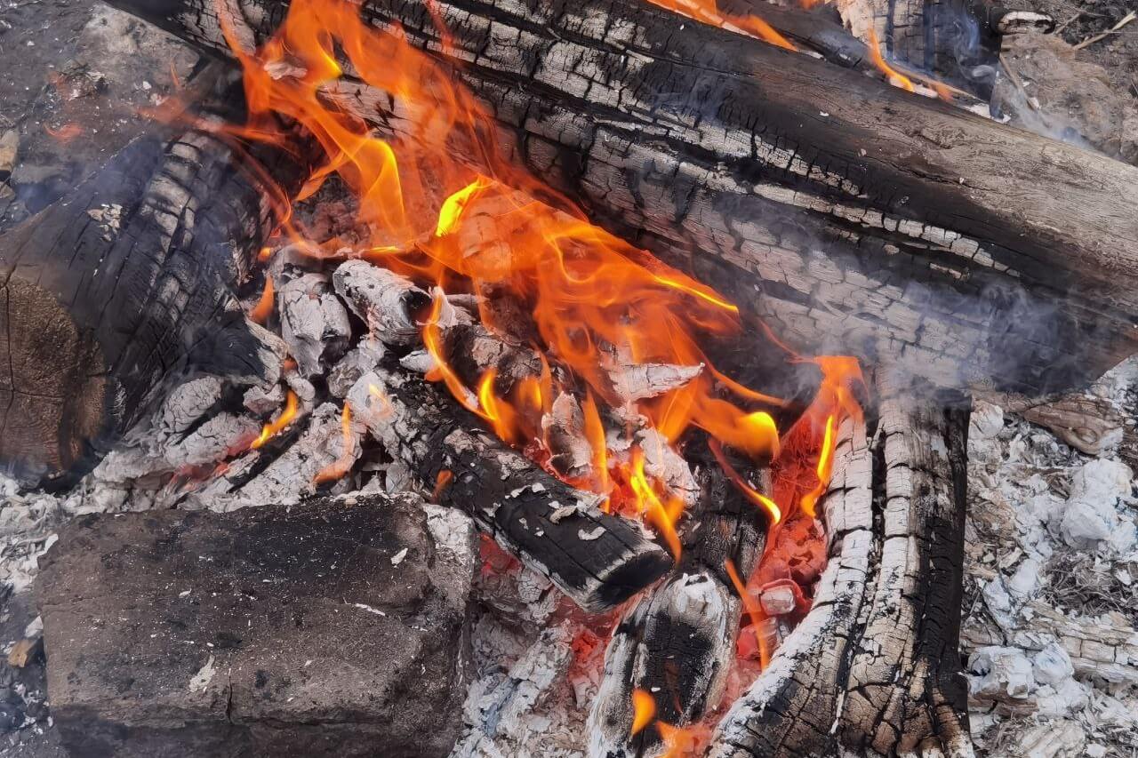 Жертвами пожаров с начала года стало более 190 человек