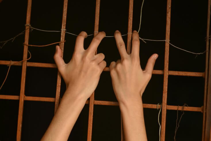 Власти намерены заниматься 