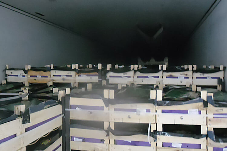 Россельхознадзор пресек попытку ввоза из Беларуси голландских груш под видом сушек 