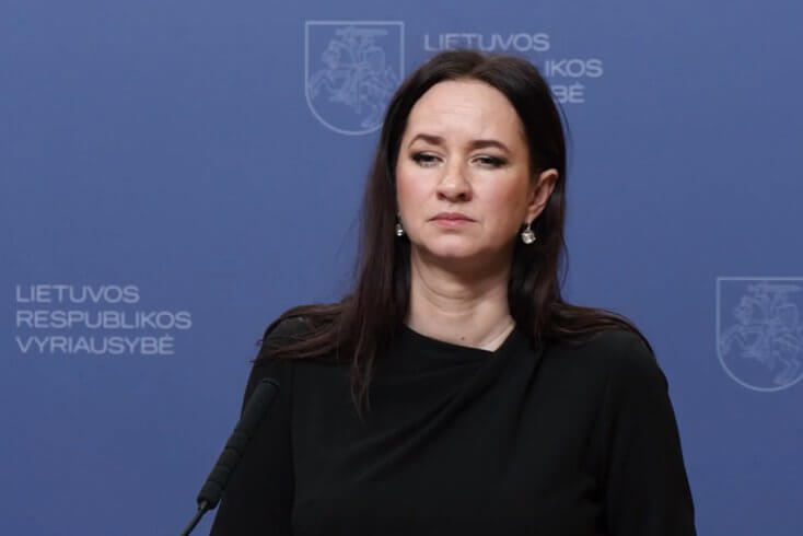 Дрон, што ўпаў за 25 км ад беларускай мяжы, быў украінскім — прэм'ер Літвы Ругінене