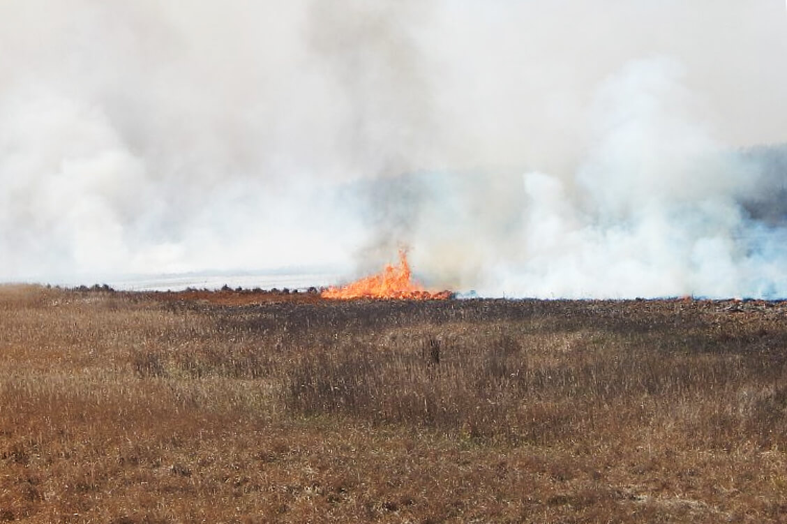 МНС пачало фіксаваць першыя сёлета выпадкі ландшафтных пажараў