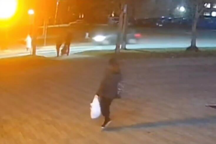 В Лиде автомобиль насмерть сбил женщину на пешеходном переходе — открыто уголовное дело