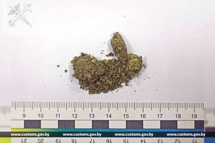 На границе с Литвой задержан белорус, пытавшийся проглотить сверток с марихуаной