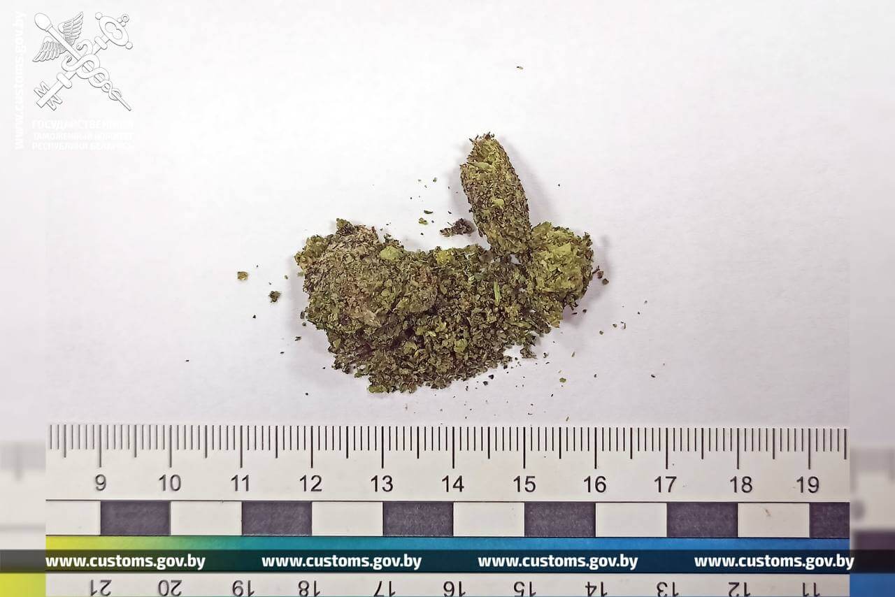 На границе с Литвой задержан белорус, пытавшийся проглотить сверток с марихуаной