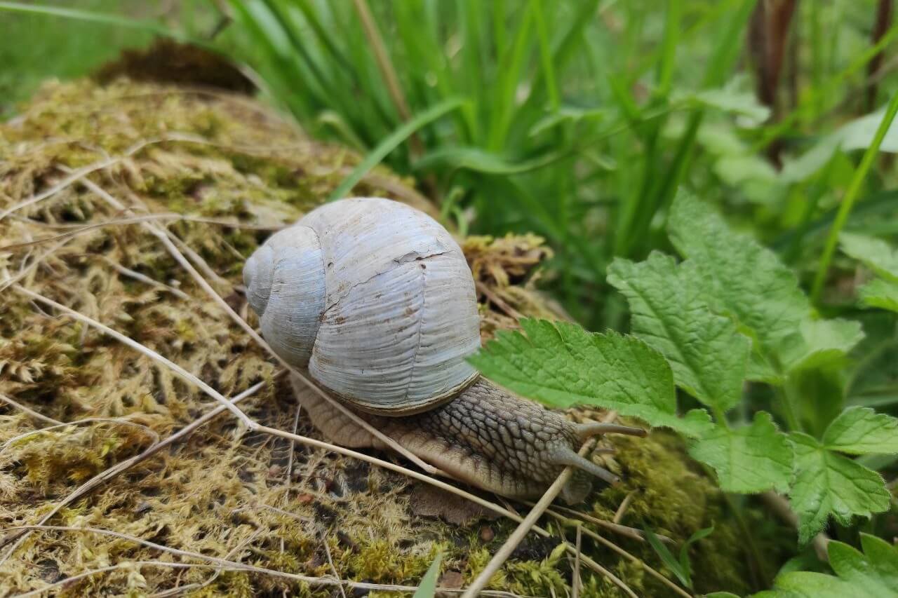 Минувшим днем температурные рекорды зафиксированы в Минске и четырех областных центрах