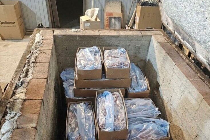 Россельхознадзор признал партию говядины из Беларуси "опасной продукцией неизвестного происхождения"