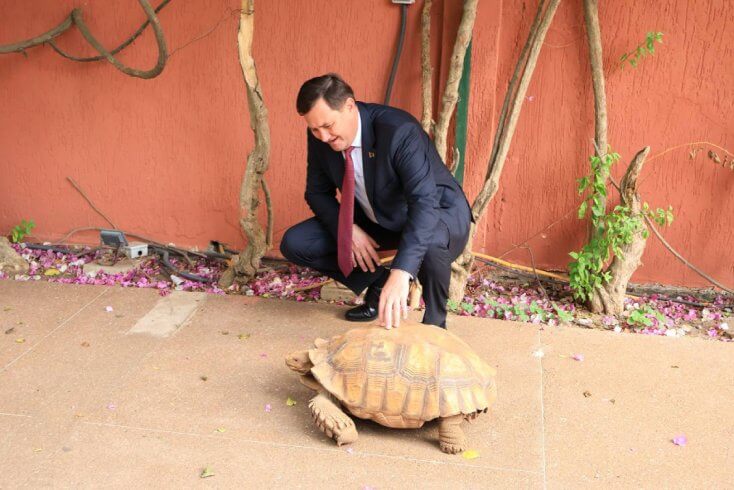 Лукашэнка даручыў працаваць з краінамі Афрыкі з "апорных пунктаў"