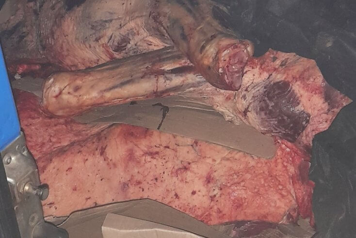 В Смоленской области задержана белорусская машина с тонной говядины, которую ввезли мимо пунктов контроля