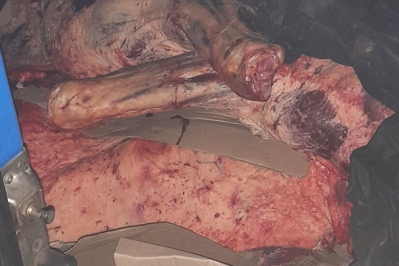 В Смоленской области задержана белорусская машина с тонной говядины, которую ввезли мимо пунктов контроля