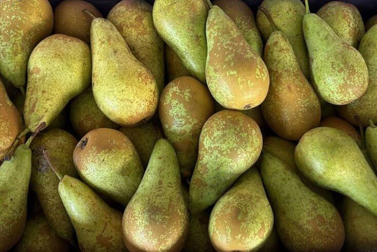 Таможня Беларуси не позволила вывезти в РФ две партии груш — в общей сложности 40 т