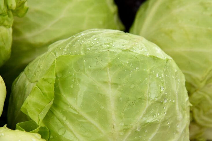 Россельхознадзор вновь не позволил увезти в Беларусь капусту, а также цветочные луковицы и орехи макадамия