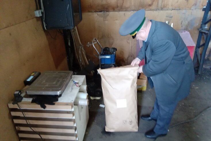 Россельхознадзор не дал ввезти в РФ из Беларуси крапиву, саженцы и семена декоративных культур