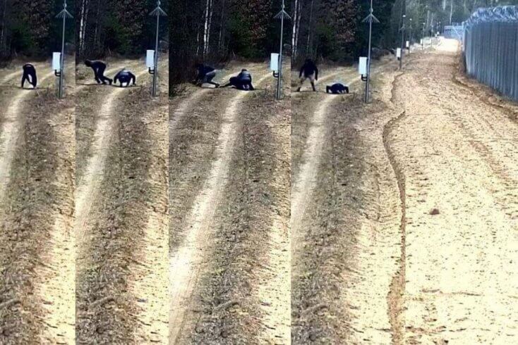 30 мигрантов проникли в Литву из Беларуси через подкоп на границе