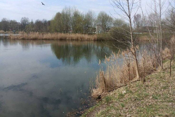 В Гомеле обнаружено тело пропавшего в марте мужчины — он утонул в озере