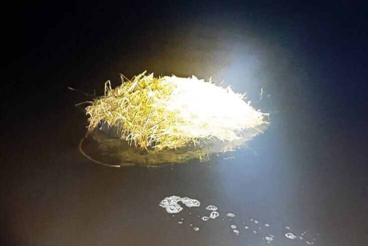 Памежнікі Латвіі выцягнулі з Даўгавы плыт з кантрабандай з Беларусі — другі раз за апошні тыдзень