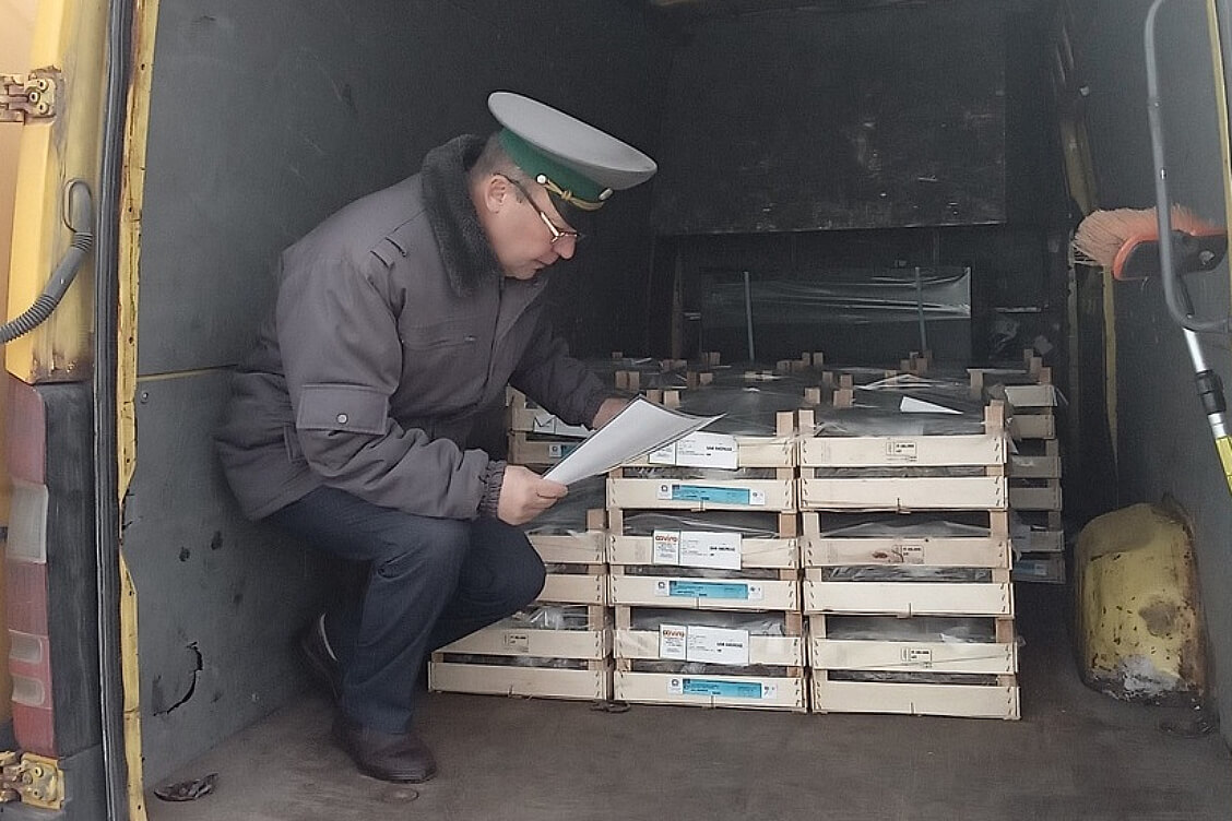 Рассельгаснагляд не прапусціў у Беларусь саджанцы суніц, з Беларусі — насенне газоннай травы і корм для сабак