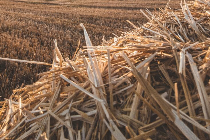 За няпоўныя два тыдні на аб'ектах АПК згарэла 107 т саломы