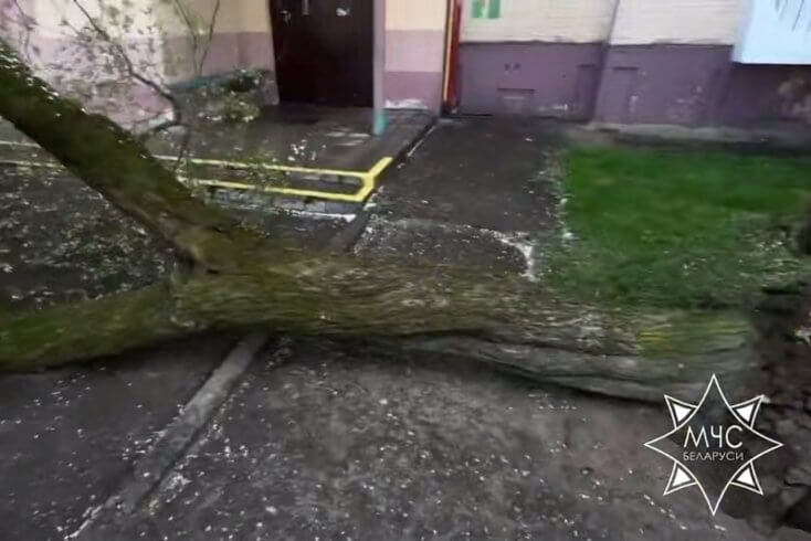 Из-за сильного ветра вновь повреждены автомобили и здания, упало более 60 деревьев