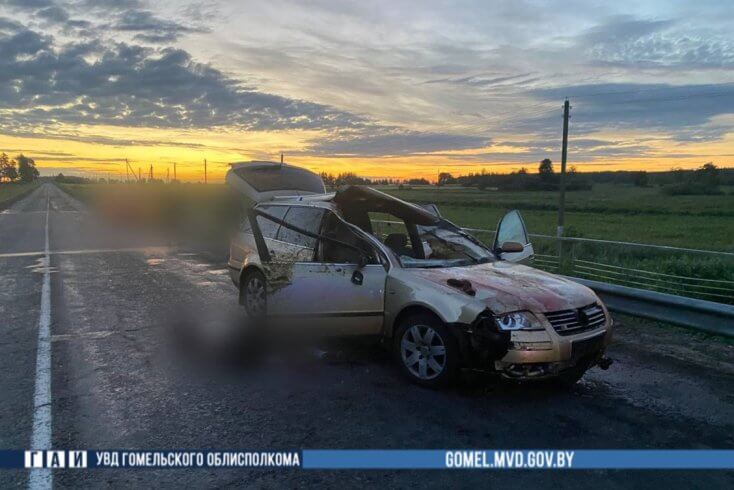 У ДТЗ з жывёлай загінуў 18-гадовы пасажыр аўтамабіля