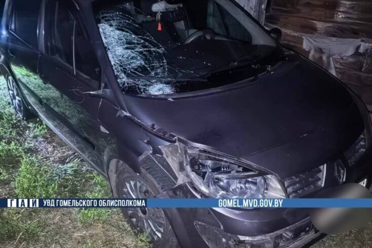 17-летний пешеход погиб в ДТП под Жлобином, водитель сбившего его автомобиля пытался скрыться, но был задержан