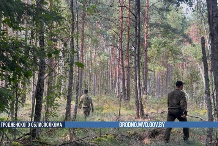 Пропавший в Гродненском районе грибник найден мертвым