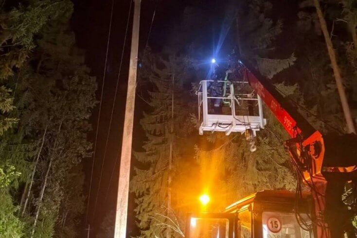 За суткі МНС зафіксавала 488 выпадкаў падзення дрэў праз непагадзь, пашкоджана 15 аўтамабіляў