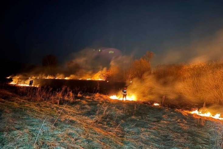Плошча пажараў у экасістэмах Гомельскай вобласці за апошнія паўтара месяца амаль у 2 разы перавысіла паказчык за ўсё першае паўгоддзе
