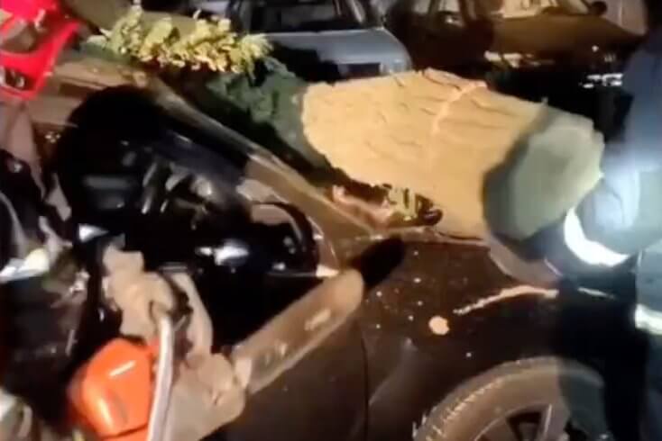 Упавшими из-за непогоды деревьями повреждено по меньшей мере шесть автомобилей в Минске и регионах