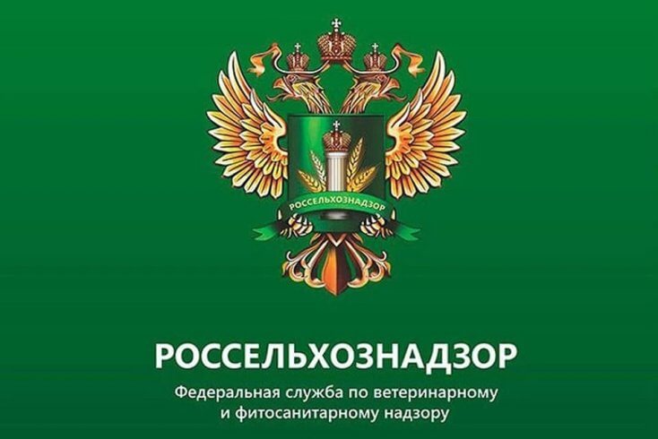 Россельхознадзор ограничил поставки в РФ продукции Слуцкого сыродельного комбината