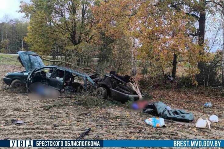 66-летний водитель погиб на трассе М1 в Кобринском районе — почувствовал себя плохо, съехал в кювет и врезался в дерево