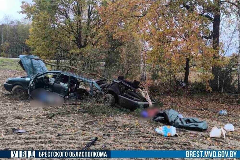 66-гадовы кіроўца загінуў на трасе М1 у Кобрынскім раёне — адчуў сябе дрэнна, з'ехаў у кювет і ўрэзаўся ў дрэва