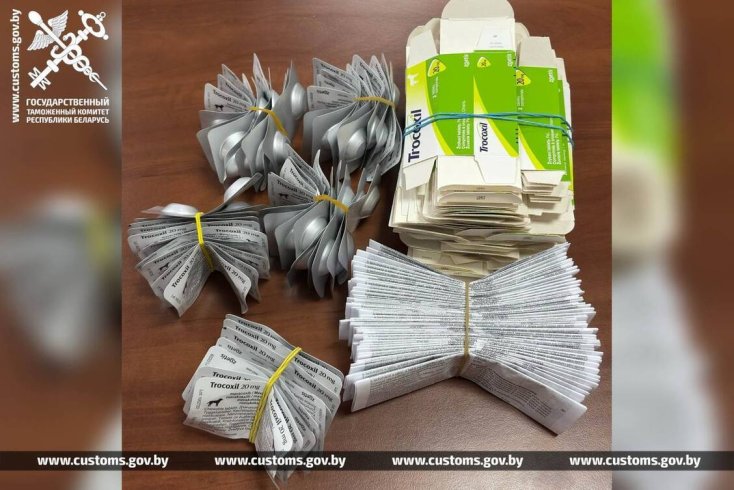 Водитель автобуса оштрафован за попытку незаконного ввоза в Беларусь 311 упаковок ветпрепаратов